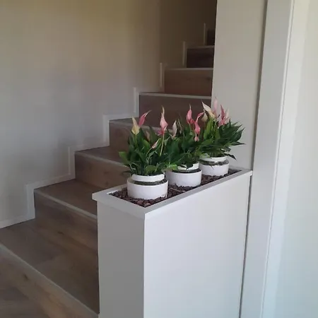 לינה וארוחת בוקר La Valluna 4*